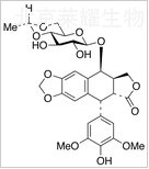 依托泊苷標準品