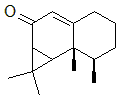 馬兜鈴?fù)獙φ掌? title=