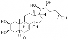 蛻皮激素（β-蛻皮激素；β-蛻皮甾酮；20-羥基蛻皮甾酮）對照品