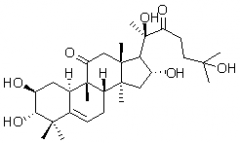 雪膽素乙（雪膽乙素）對照品